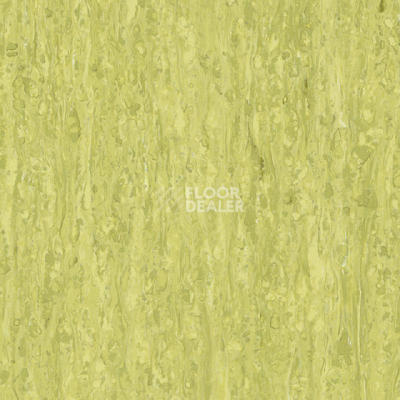 Линолеум Tarkett iq Optima Yellow Green 0254 фото 1 | FLOORDEALER